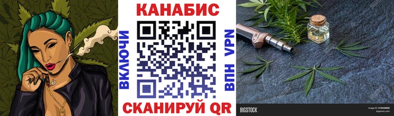 Каннабис сатива Купить Цоци-Юрт